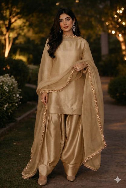Graceful Aura Traditional Wear