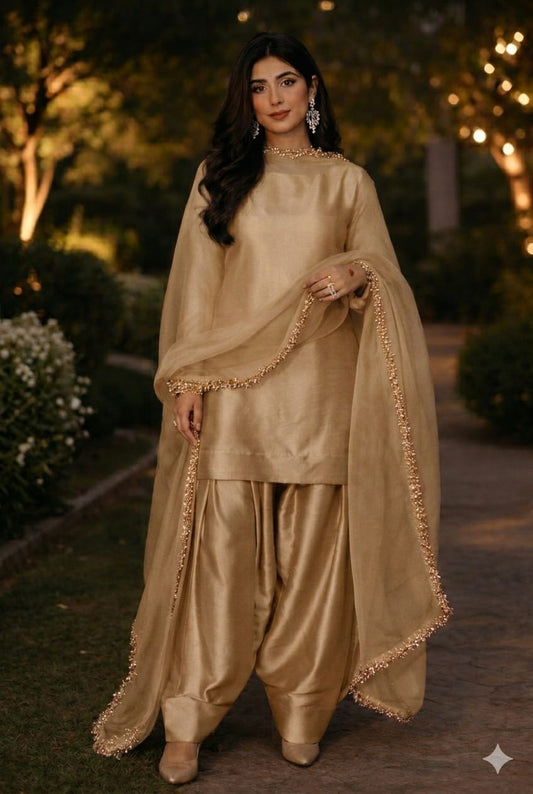 Graceful Aura Traditional Wear