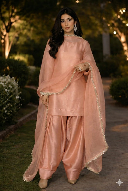 Graceful Aura Traditional Wear