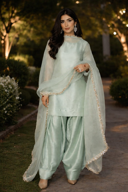 Graceful Aura Traditional Wear